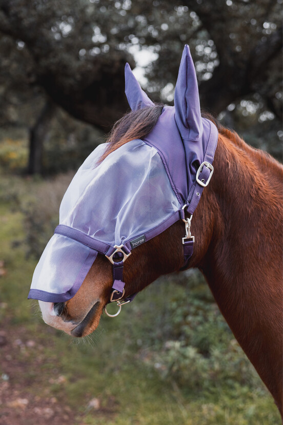Halters